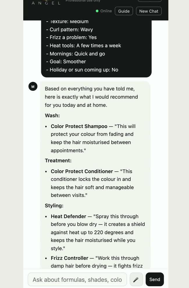 Example Angel home-care recommendations grouped into wash, treatment and styling